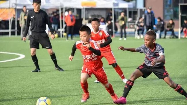 国产免费拔擦拔擦8x高清在线人